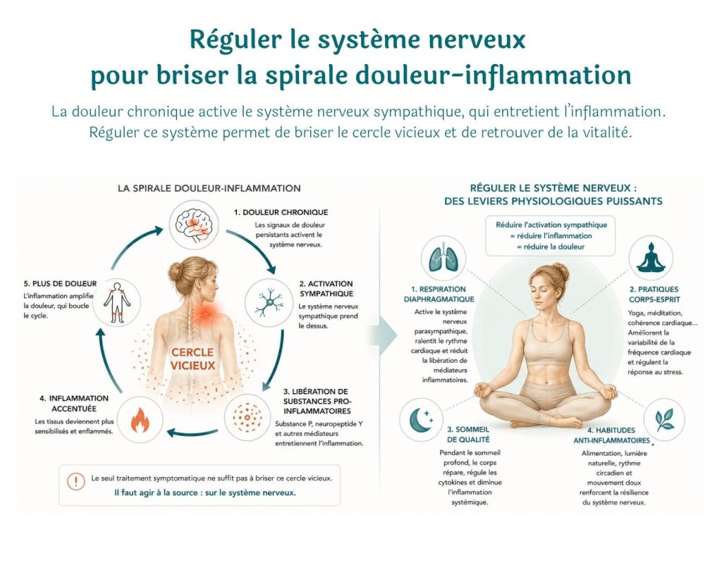 Infographie sur le lien entre douleur chronique, système nerveux et inflammation, avec solutions comme respiration, méditation, sommeil et habitudes anti-inflammatoires.